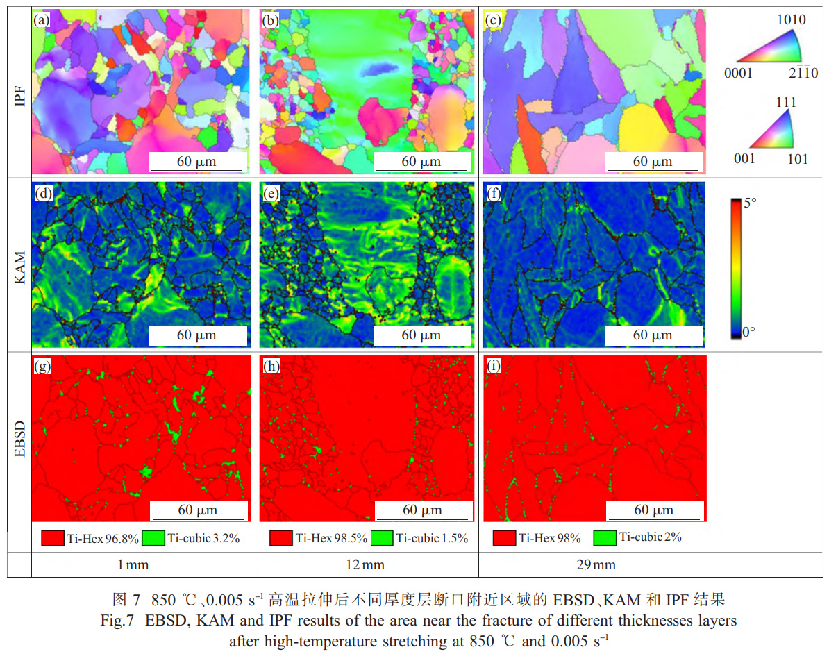 面向船舶大型殼體件的TC4鈦合金厚板精密熱壓成形技術研究——解析厚向組織不均勻性對成形性能的影響，通過應力松弛-回彈耦合模擬優(yōu)化保壓參數，實現±2mm形狀公差的高精度成形