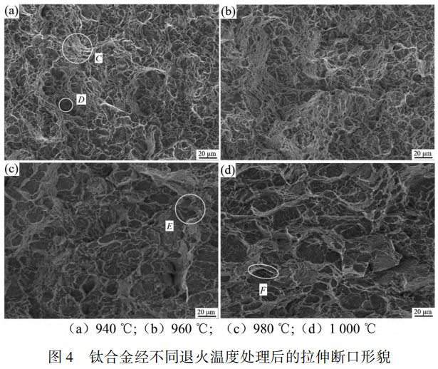填補單相區退火研究空白：TC11鈦合金棒經不同溫度退火處理后的微觀組織（α相/β相）演變機制、拉伸性能（屈服強度/抗拉強度/斷面收縮率）變化規律及斷口斷裂機制的耦合分析與工藝精準調控建議