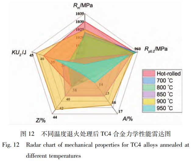 軋制-退火協(xié)同調(diào)控下艦船用大規(guī)格TC4鈦合金板材的組織演變機制與力學性能各向異性優(yōu)化研究——聚焦初生α相/次生α相調(diào)控及900℃退火工藝的弱織構(gòu)增強效應(yīng)
