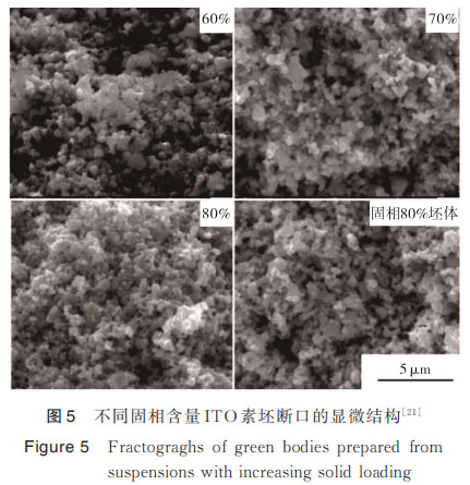 1669534073368315.jpg t5.jpg