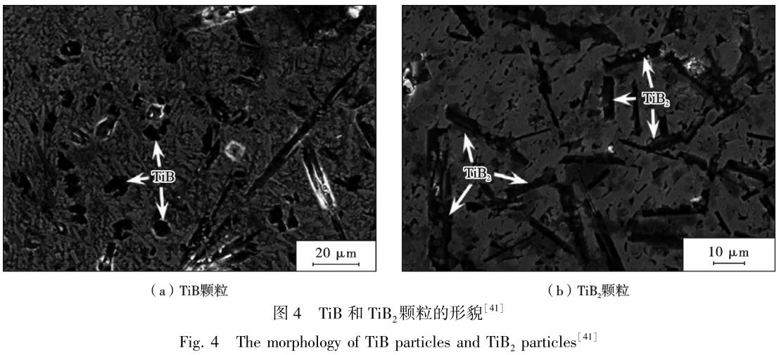 1695645757216754.jpg t4.jpg