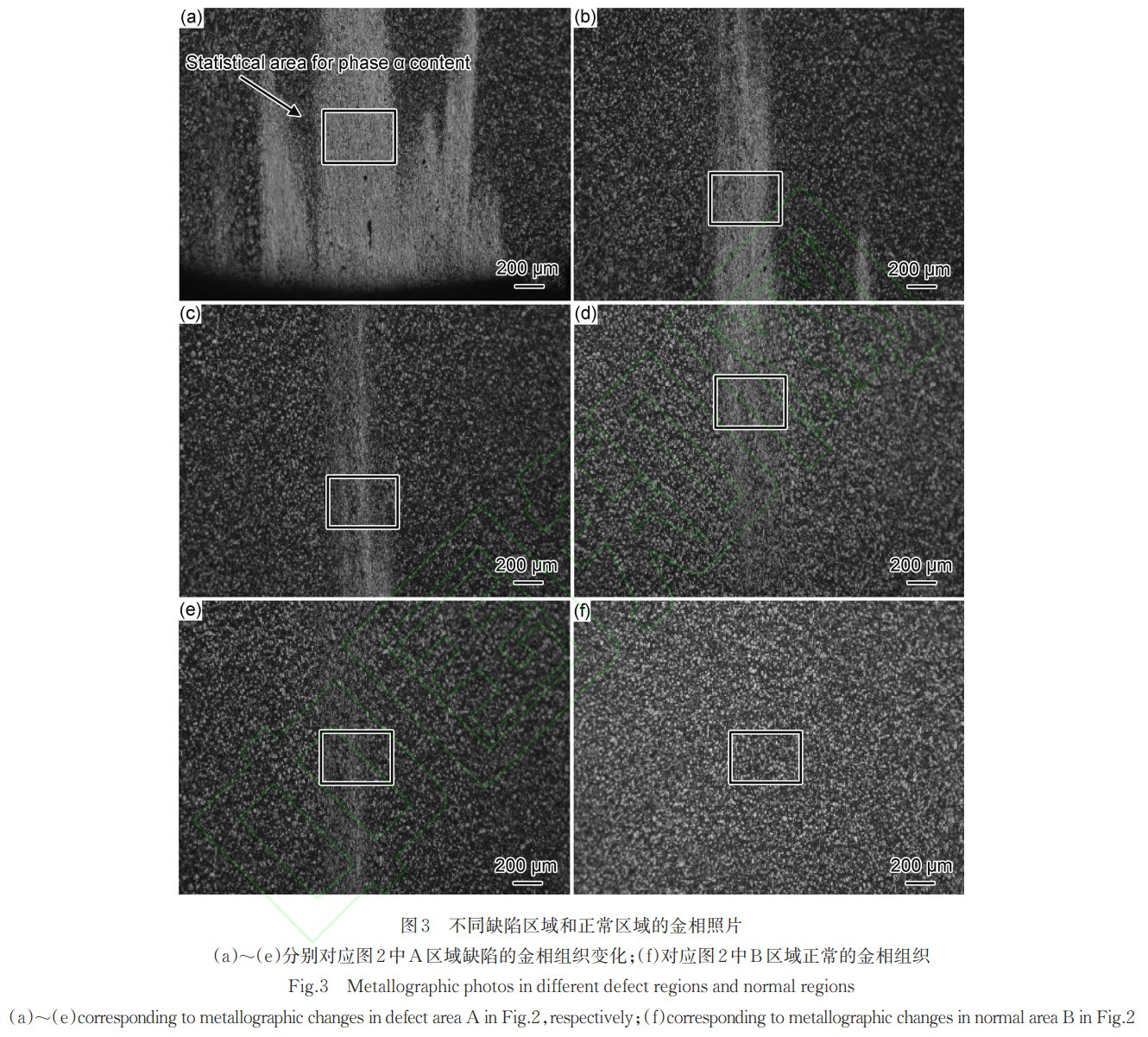1766324628287222.jpg 未標(biāo)題-1.jpg